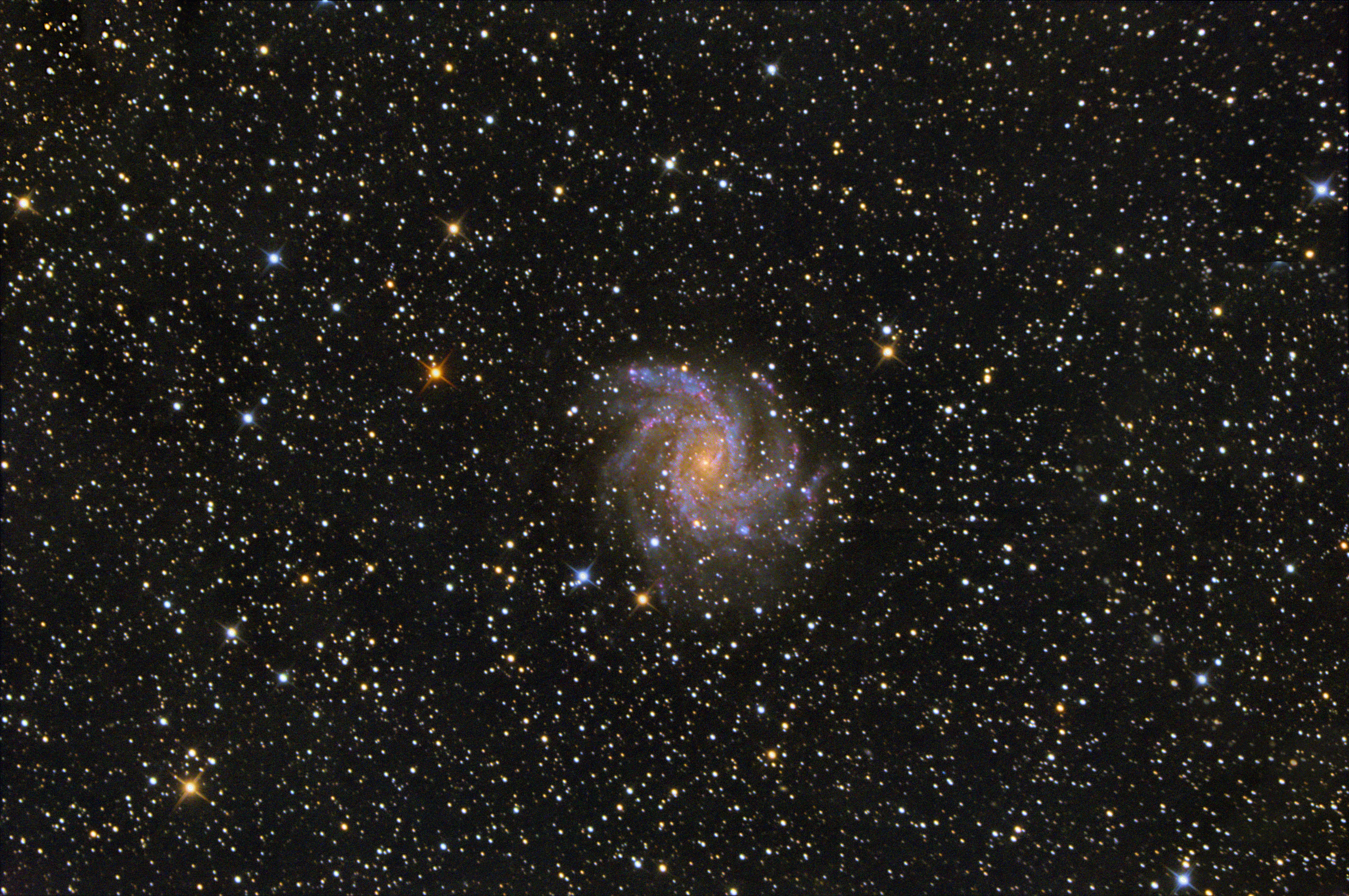 Feuerwerk-Galaxie NGC 6946